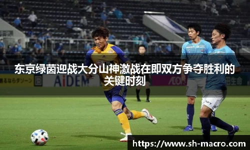 东京绿茵迎战大分山神激战在即双方争夺胜利的关键时刻